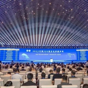 湖南建投集团在“中国企业500强”排名第164位 比去年提升46位