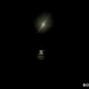 盐城高三学生海边落水超6天，家属：晚上和同学去拍照时被海浪卷走，希望能找到孩子