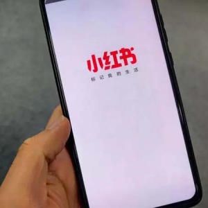 备战双十一！小红书要搞家电生意了：能比京东淘宝便宜吗？
