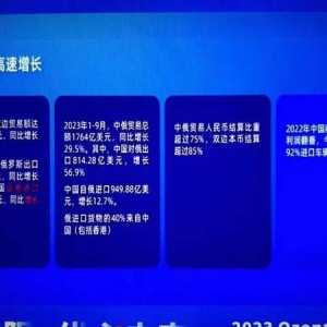 “双十一”带旺俄罗斯电商销售 当地电商平台看好中国业务成长