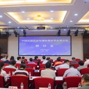 聚焦中国式现代化与浦东高水平改革开放，这个研讨会掀起“头脑风暴”