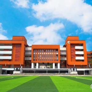 加快义务教育优质均衡发展！两江新区3年内新建学校15所、新增学位5万个