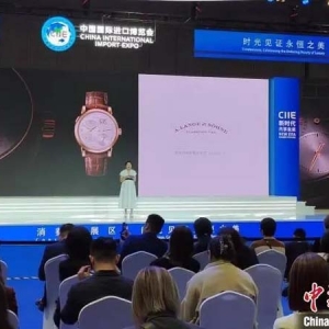 （第六届进博会）进博好物竞相登场 助力中国消费者对“美好生活”的追求