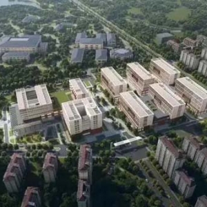 雄安新区新增一所三甲医院，三大院士团队领衔