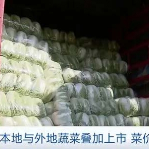 上海本地与外地蔬菜叠加上市，菜价下跌！大白菜跌至每斤0.3元