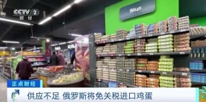 缓解供应不足、抑制价格上涨！俄罗斯将免关税进口鸡蛋
