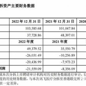 科大讯飞拟分拆讯飞医疗到港交所上市，2022年亏超2亿元