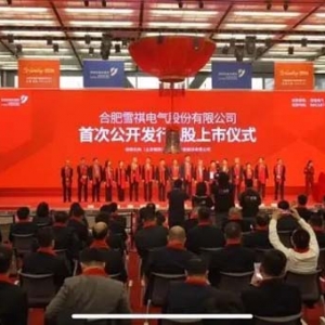 刚刚，合肥2024年首家上市公司诞生！