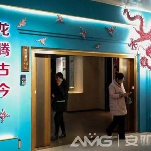 安阳博物馆“龙腾古今——甲辰年龙文化展”开展安阳融媒客户端