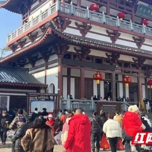 开门红！春节期间南湖新区迎游客近百万人次，营收增长127.64%