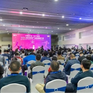 汇聚体育力量 共创产业高峰2024武汉体育产业招商推介会成功举办