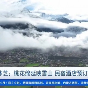 去西藏林芝，看桃花映雪山！清明旅游热度飙升，部分平台订单量倍增