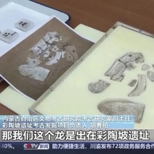 距今6300年左右！红山文化早期龙形蚌饰成功复原