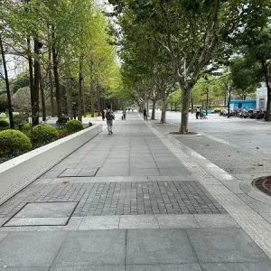 符合条件全面开放！除了4座公园，浦东新区24小时公园试开放