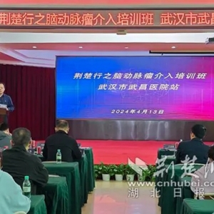 更聚焦、更专业，动脉瘤治疗技术临床应用学术会议顺利举办