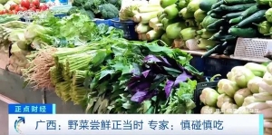 时令野菜火了！专家提醒：慎碰慎吃，不建议这类人食用→