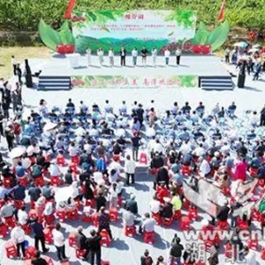 甜了樱桃 美了乡村 富了村民 襄阳南漳第七届有机采摘节开幕
