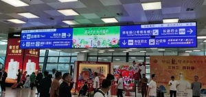 同程旅行与洛阳国际牡丹园合作，百万补贴助力洛阳赏花热