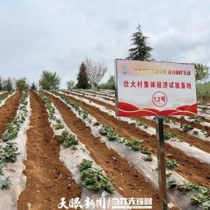 贵安新区湖潮乡：农事体验引客来，乡村发展有活力