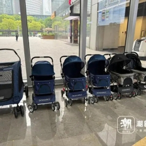 杭州越来越多的商场，贴上了“宠物友好”的标签