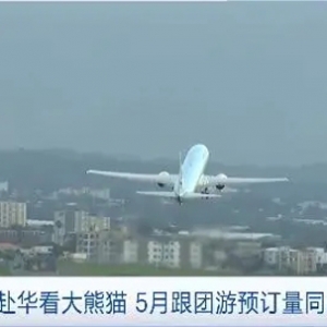 来中国看大熊猫！韩国赴华游持续火热，有旅行社预订量暴涨超600%