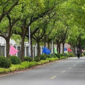 助力乡村振兴！今年浦东计划对94公里农村公路提档升级
