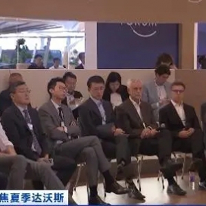 夏季达沃斯与会嘉宾：壮大耐心资本需要政企等多方合力