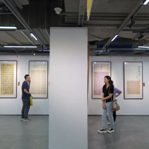 以展促学，推陈出新！浦东新区第二届青年书法篆刻作品展举行