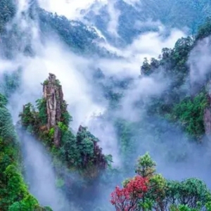 首批“世界旅游名山”揭晓，宜章莽山上榜！