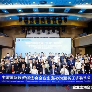 新时代中国企业“出海”新趋势研讨会在博彦科技圆满举行