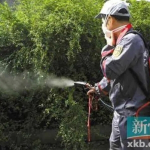 广州提前进入登革热高发期，疾控专家：高热头痛尽早就医