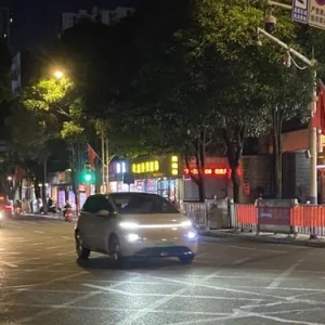 车市黄金周｜新能源车融入南方小城日常生活，经济车型受偏爱