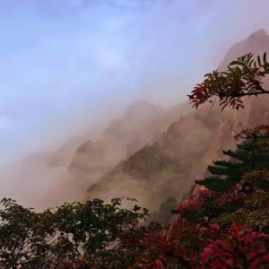 10月6日，黄山风景区接待游客2.3万余人