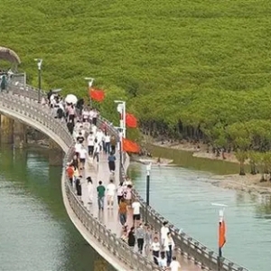 业态多元，热力十足，活力尽显！国庆假期厦门市文旅市场持续“圈粉”