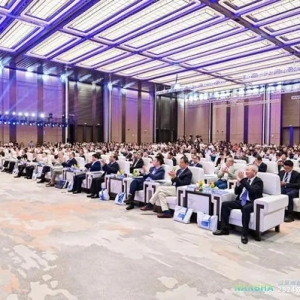 揽获超千亿元投资！南沙全球招商引智多项成果落地