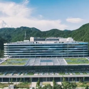 华大基因发布2024年三季报，肿瘤与慢病防控业务同比增长14%