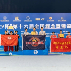 第十六届全国舞龙舞狮锦标赛举行，三林舞龙队成功卫冕