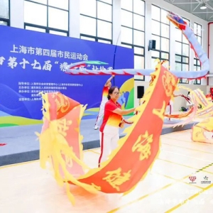 21支队伍齐聚浦东，这项赛事举行