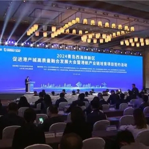 青岛西海岸新区推出17条措施提升口岸营商环境 促进港产城高质量融合发展