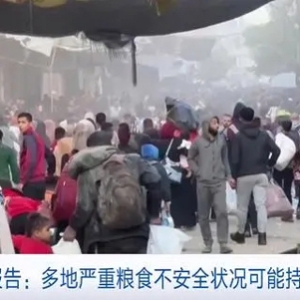 联合国发布最新报告！多地严重粮食不安全状况或持续恶化