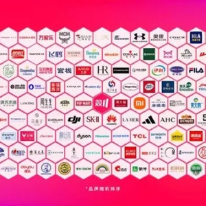 内容联合广告置换流量，助力商家双11实现销量增长