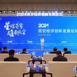 雄安新区举办低空经济创新发展论坛