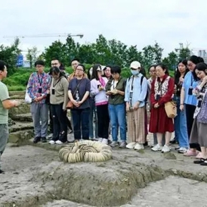 文化中国行｜重磅！西南6省区市考古专家在渝发布最新考古成果