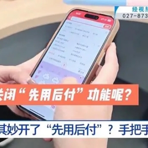 “双11”电商大促季，“先用后付”玩法遭网友吐槽，关闭方式及消保委发声引关注