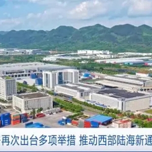 推动西部陆海新通道建设，海关总署再次“上新”四方面重点举措→