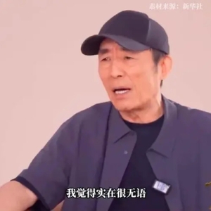 少数派对｜来投票！你同意张艺谋说的“三分钟解说会毁掉电影”吗？