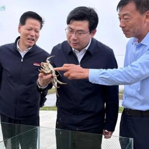 市领导带队赴市湖滨新区调研特色产业与农文旅融合发展工作