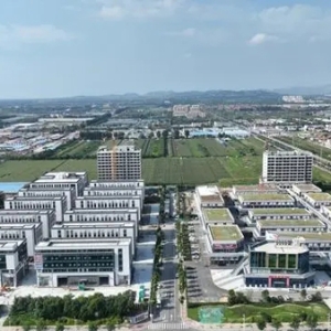 新突破！平度市获评首家山东省平台经济产业集聚区