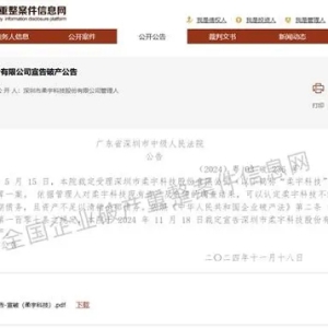 资不抵债！深圳中院宣告柔宇系三家公司均破产