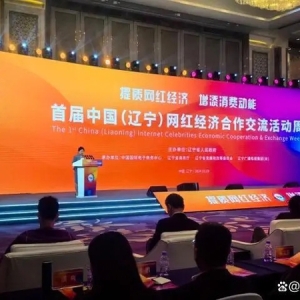 全省唯一电商代表！西丰鹿乡绿港电商直播基地向全省分享“西丰电商模式”
